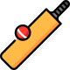 cricket